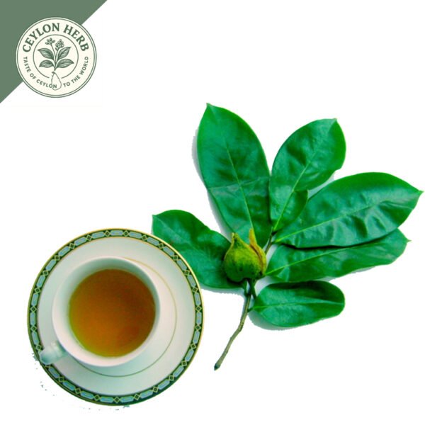 dried soursop leaves (annona muricata var. muricata) ceylon organic