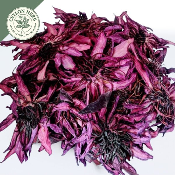 dried red water lily whole flowers (nelumbo nuciferaa)