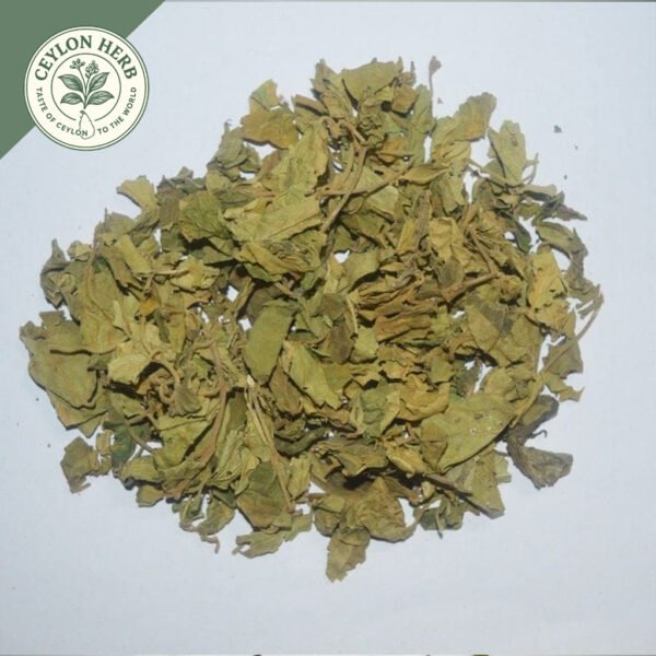 dried organic gurmar leaf (gymnema sylvestre)