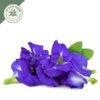 dried blue butterfly pea whole flowers (clitoria ternatea) dried blue butterfly pea whole flowers (clitoria ternatea)