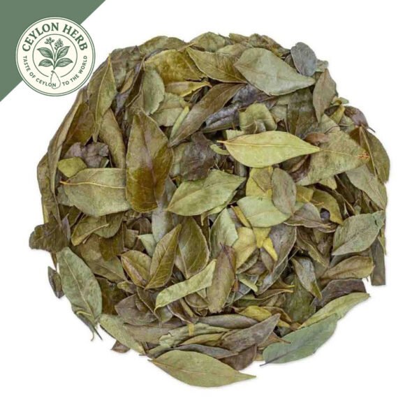 dried ceylon curry leaves powder (murraya koenigii) ceylon organic