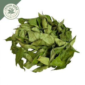 dried ceylon curry leaves powder (murraya koenigii) ceylon organic