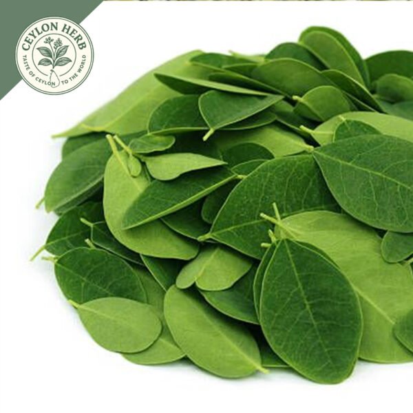 dried moringa leaves (moringa oleifera) ceylon organic
