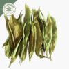 dried insulin leaf (costus speciosus)