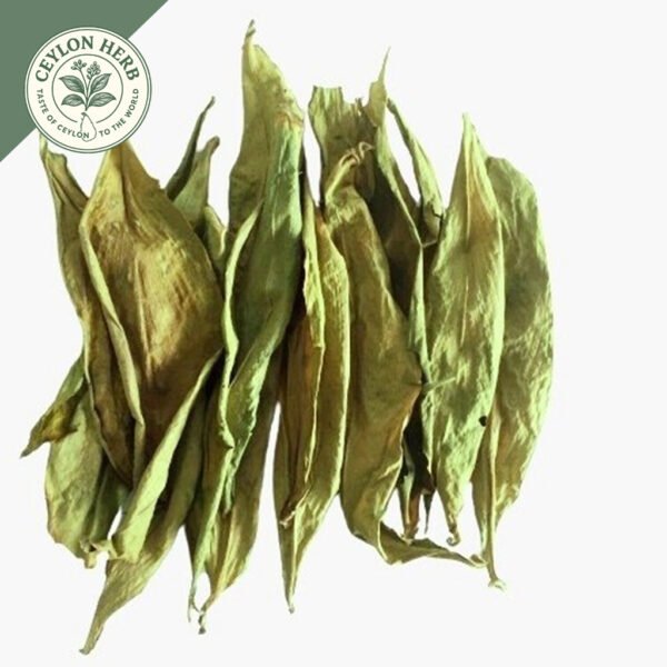 dried insulin leaf (costus speciosus)