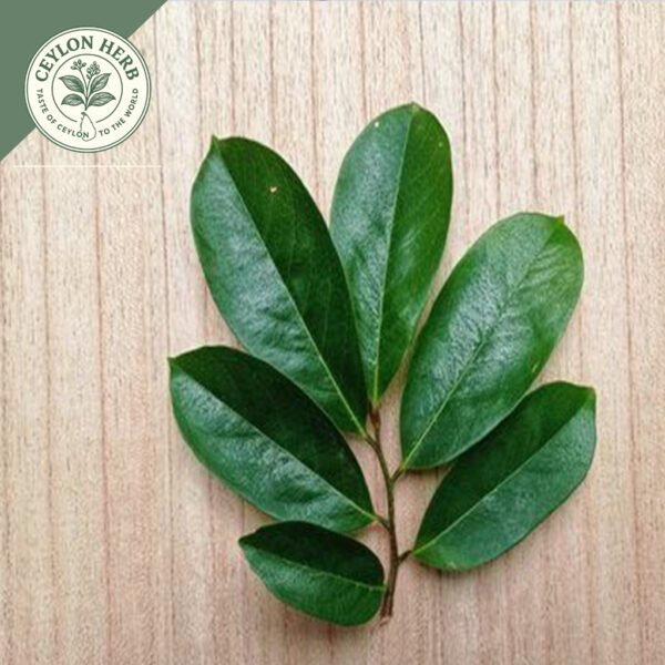 dried soursop leaves (annona muricata var. muricata) ceylon organic