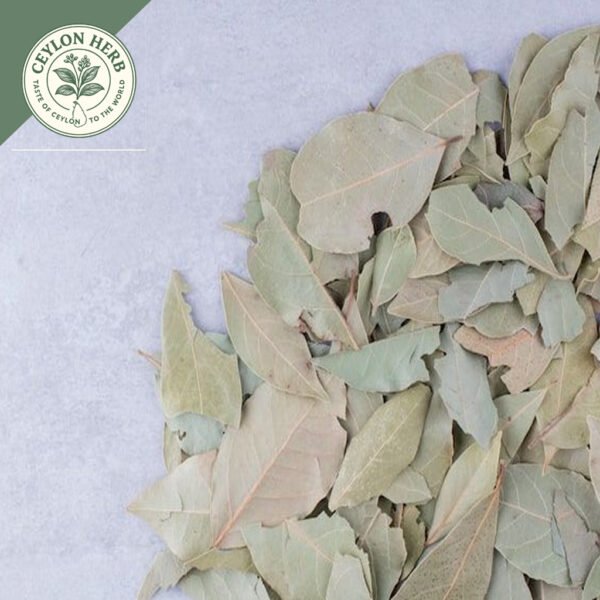 dried soursop leaves (annona muricata var. muricata) ceylon organic