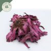 dried red water lily whole flowers (nelumbo nuciferaa)