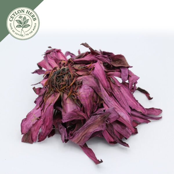 dried red water lily whole flowers (nelumbo nuciferaa)