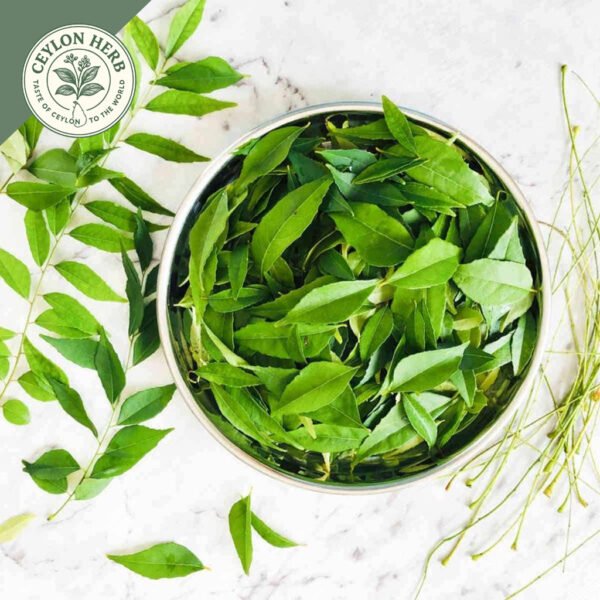 dried ceylon curry leaves powder (murraya koenigii) ceylon organic