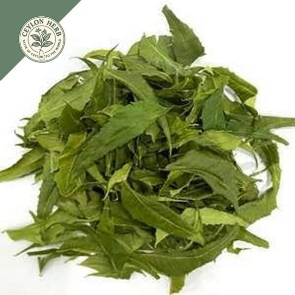dried ceylon neem leaves (azadirachta indica) ceylon organic (copy)