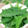 dried ceylon neem leaves (azadirachta indica) ceylon organic (copy)