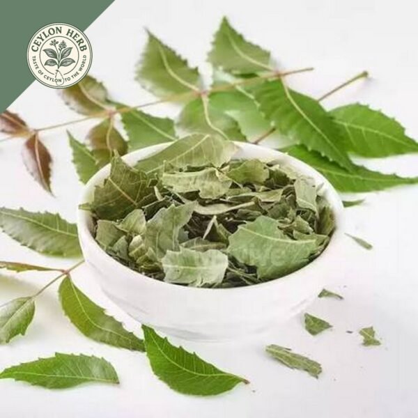 dried ceylon neem leaves (azadirachta indica) ceylon organic (copy)