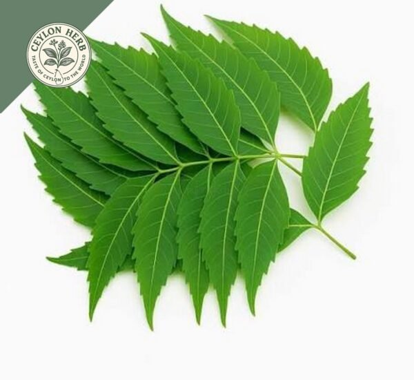 dried ceylon neem leaves (azadirachta indica) ceylon organic (copy)