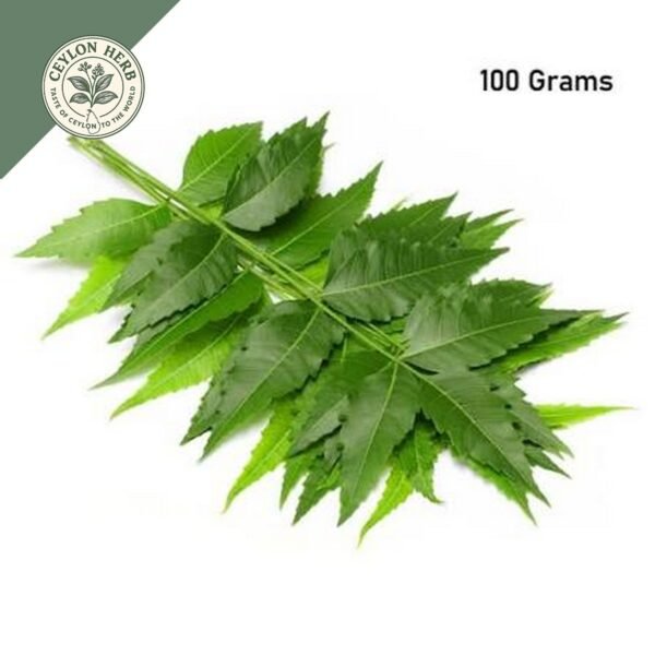dried ceylon neem leaves (azadirachta indica) ceylon organic (copy)