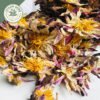 dried white water lily whole flowers (nymphaea alba) dried white water lily whole flowers (nymphaea alba)