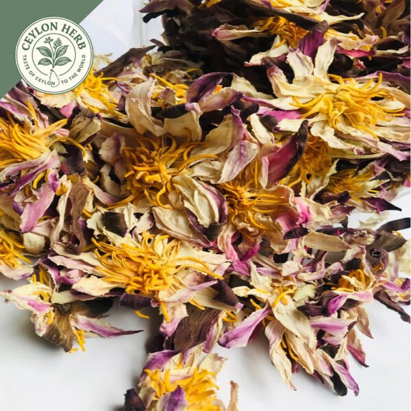 dried white water lily whole flowers (nymphaea alba) dried white water lily whole flowers (nymphaea alba)