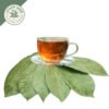 dried soursop leaves (annona muricata var. muricata) ceylon organic