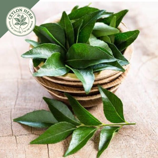 dried ceylon curry leaves powder (murraya koenigii) ceylon organic