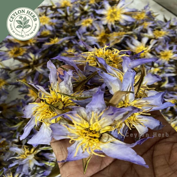 dried rare authentic real egyptian blue lotus dried flowers