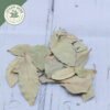 dried soursop leaves (annona muricata var. muricata) ceylon organic