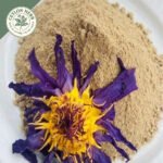 dried blue lotus whole flowers (nymphaea caerulea) (copy)